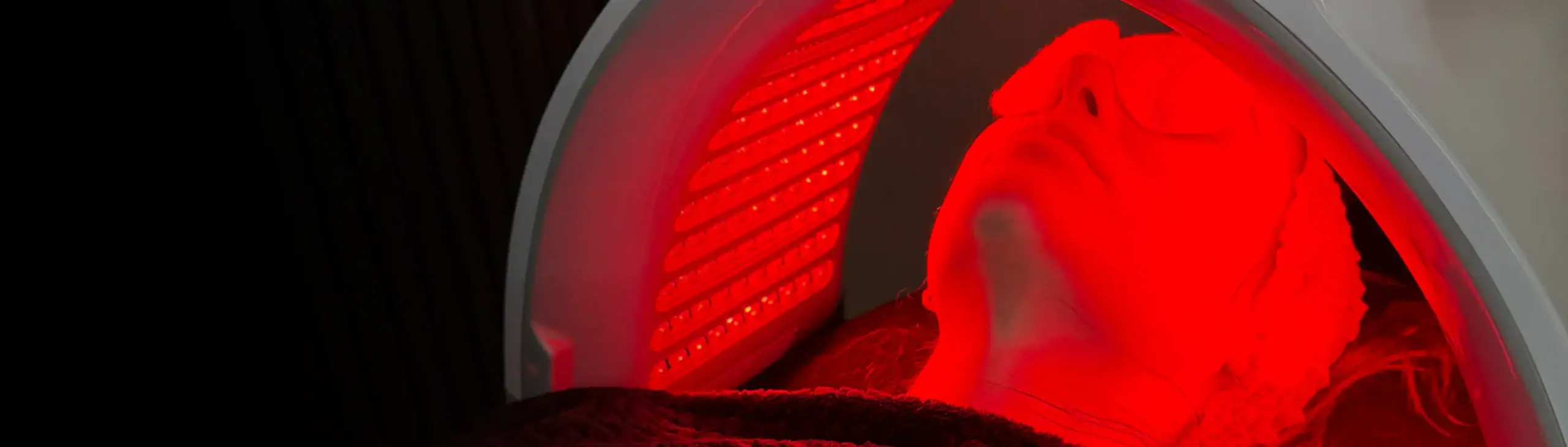 A person receives red light therapy, wearing protective goggles under a curved LED light panel.
